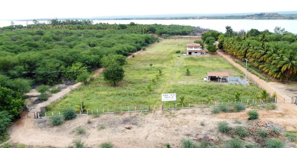 Imagem do WhatsApp de 2025-01-17 à(s) 11.09.25_d4ee0145